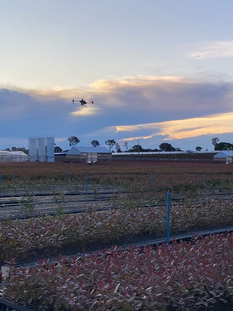 Curso de drones é porta de entrada para atuação no setor florestal