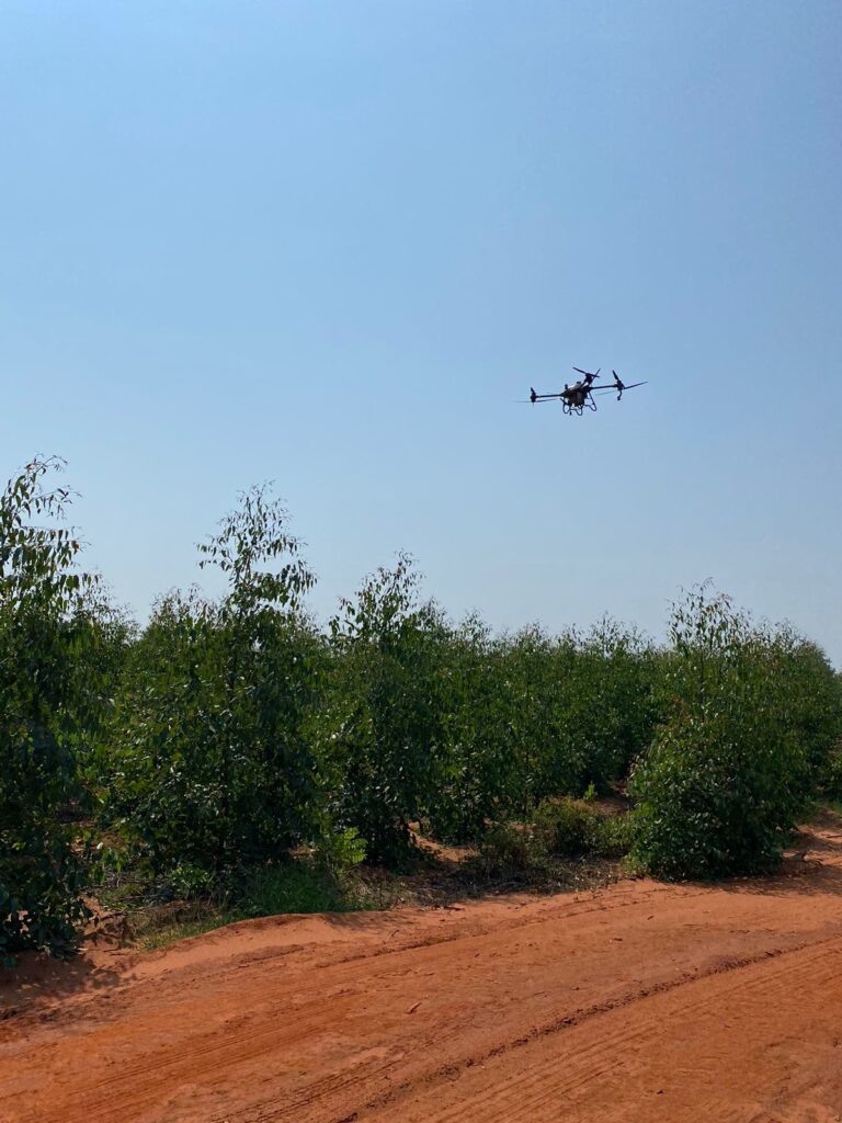 Curso de drones é porta de entrada para atuação no setor florestal