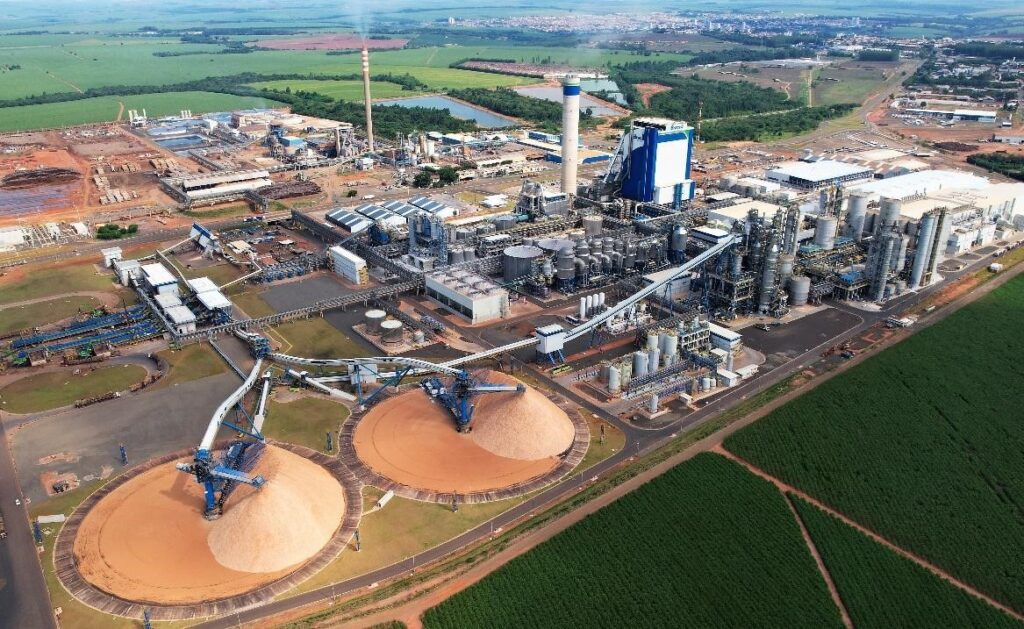 Mato Grosso do Sul ‘surfa’ na economia da celulose, que deve exportar R$ 67,4 bilhões até 2028