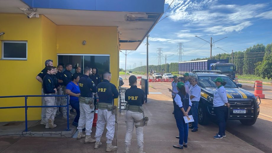 Prefeitura, Polícia Civil e PRF promovem ações no combate ao mosquito Aedes aegypti Prefeitura, Polícia Civil e PRF promovem ações no combate ao mosquito Aedes aegypti