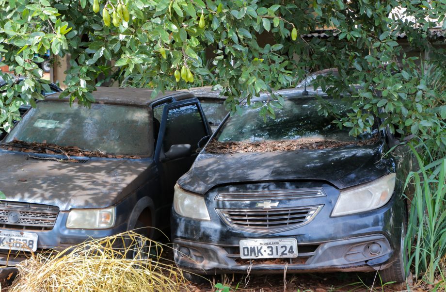 Prefeitura, Polícia Civil e PRF promovem ações no combate ao mosquito Aedes aegypti Prefeitura, Polícia Civil e PRF promovem ações no combate ao mosquito Aedes aegypti