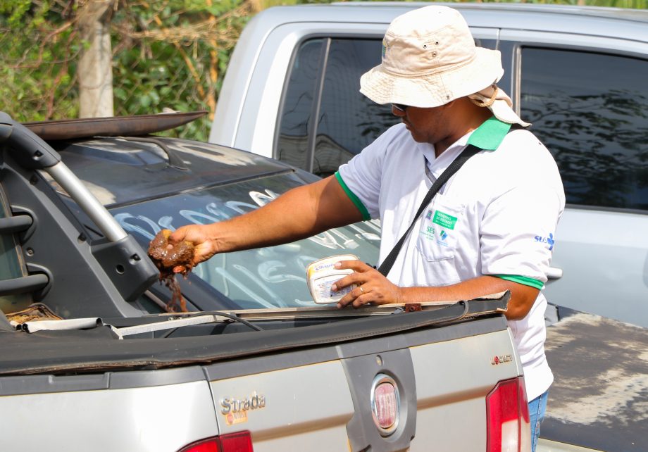 Prefeitura, Polícia Civil e PRF promovem ações no combate ao mosquito Aedes aegypti Prefeitura, Polícia Civil e PRF promovem ações no combate ao mosquito Aedes aegypti