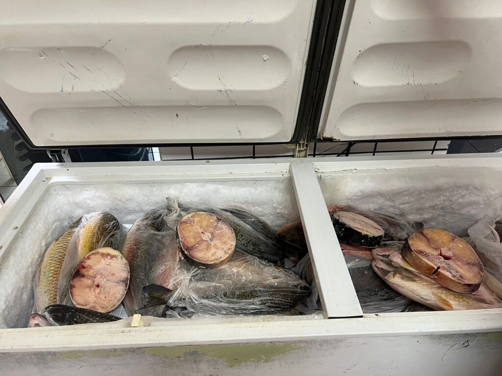 Você come só peixe na Semana Santa? Bairro do Jupiá, em Três Lagoas é destaque quando o assunto é pescaria