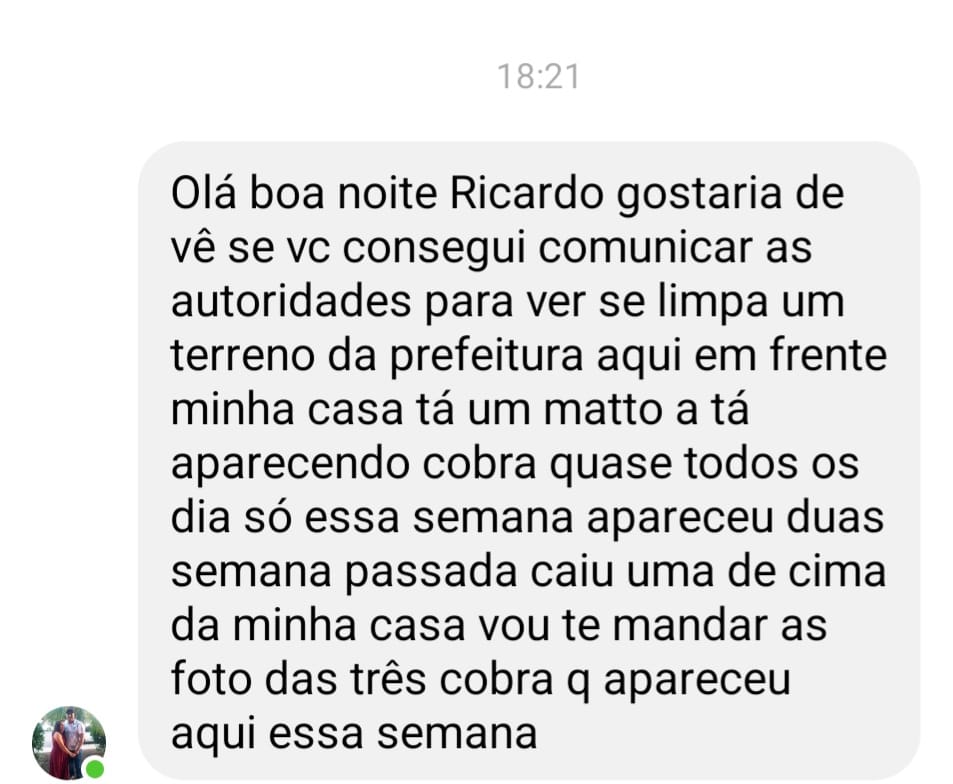 Em Três Lagoas, cobras cascavel invadem casa no bairro Violeta 2