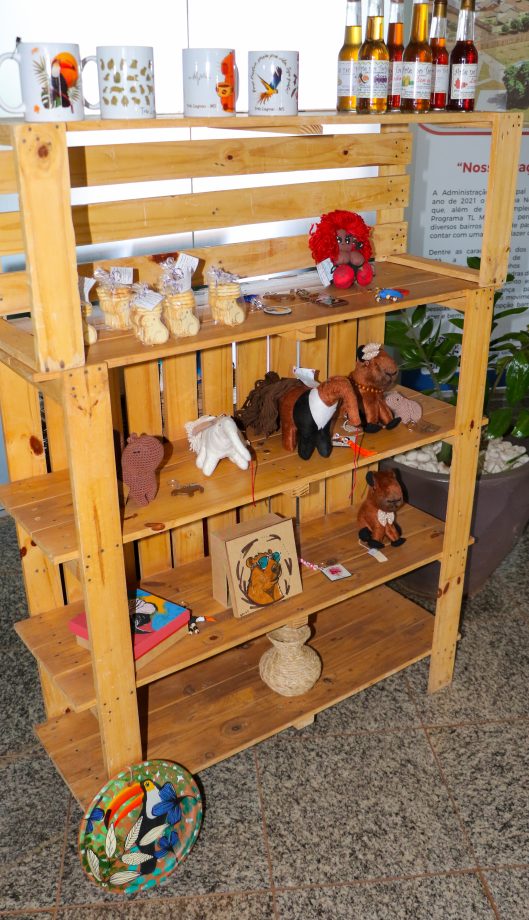 Casa do Artesão inaugura espaço no Aeroporto Municipal Plínio Alarcon