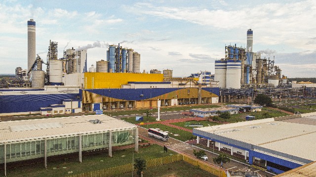 Mato Grosso do Sul ‘surfa’ na economia da celulose, que deve exportar R$ 67,4 bilhões até 2028