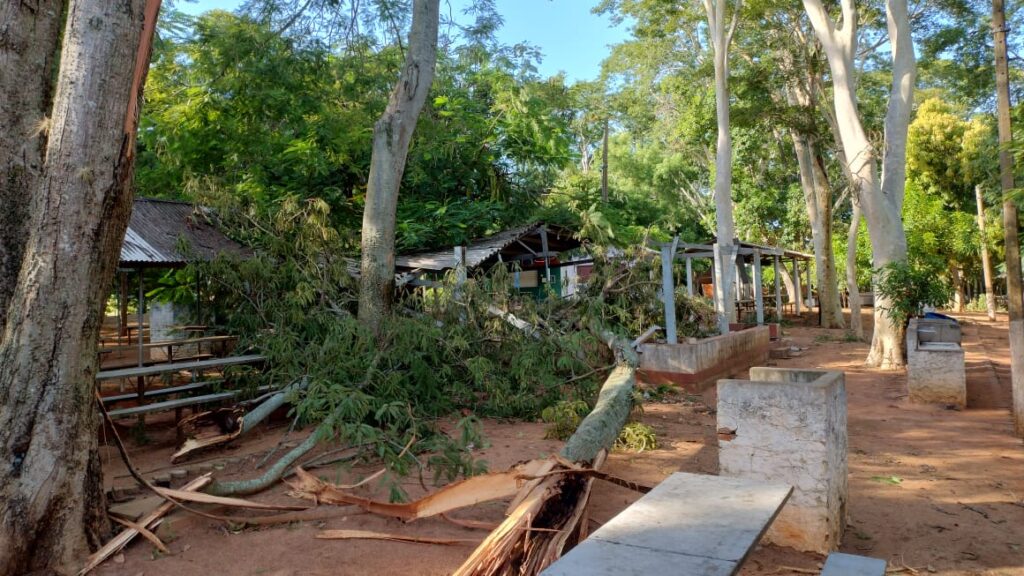 Vendaval derruba árvores e interdita quiosques da Vila dos Operadores por tempo indeterminado Vendaval derruba árvores e interdita quiosques da Vila dos Operadores por tempo indeterminado