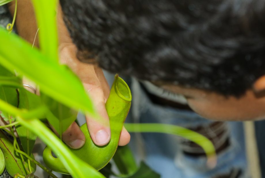 SEMEA realiza atividades em alusão à Semana da Água com crianças de Serviços de Convivência SEMEA realiza atividades em alusão à Semana da Água com crianças de Serviços de Convivência