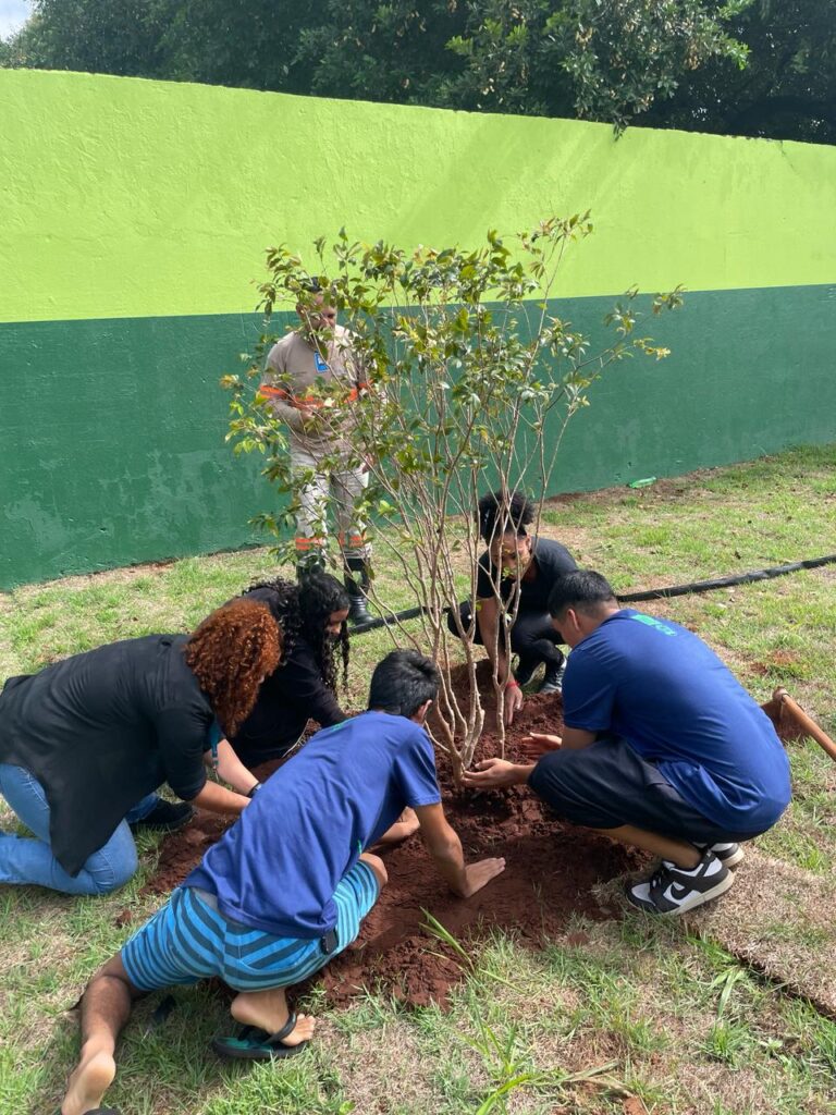 Conscientização ambiental em escolas de MS faz plantio de mudas e aborda até cuidados com rede elétrica Conscientização ambiental em escolas de MS faz plantio de mudas e aborda até cuidados com rede elétrica