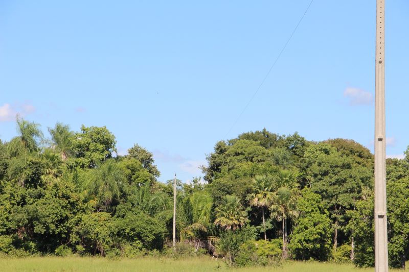 Para prevenir incêndios no Pantanal, Agems intensifica inspeções das redes rurais de energia em MS Para prevenir incêndios no Pantanal, Agems intensifica inspeções das redes rurais de energia em MS