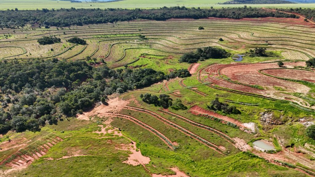 Com plantio de 270 mil mudas no parque estadual do Rio Taquari, MS realiza maior projeto de restauração do país Com plantio de 270 mil mudas no parque estadual do Rio Taquari, MS realiza maior projeto de restauração do país