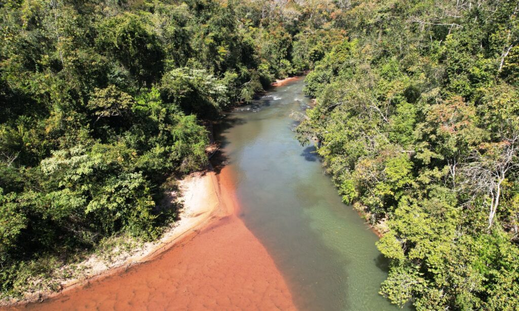 Com plantio de 270 mil mudas no parque estadual do Rio Taquari, MS realiza maior projeto de restauração do país Com plantio de 270 mil mudas no parque estadual do Rio Taquari, MS realiza maior projeto de restauração do país
