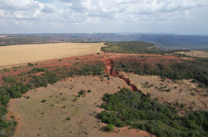 Com plantio de 270 mil mudas no parque estadual do Rio Taquari, MS realiza maior projeto de restauração do país Com plantio de 270 mil mudas no parque estadual do Rio Taquari, MS realiza maior projeto de restauração do país