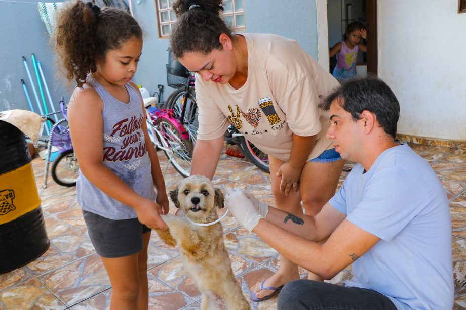 Saúde inicia 4ª etapa do “Encoleira Cão”, pesquisa que visa o combate à Leishmaniose canina
