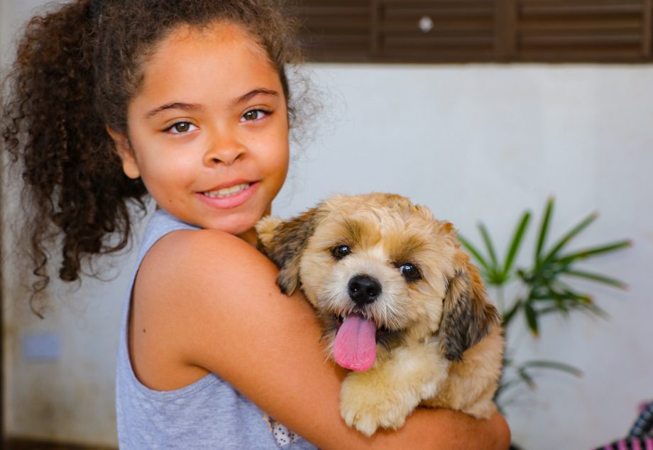 Saúde inicia 4ª etapa do “Encoleira Cão”, pesquisa que visa o combate à Leishmaniose canina