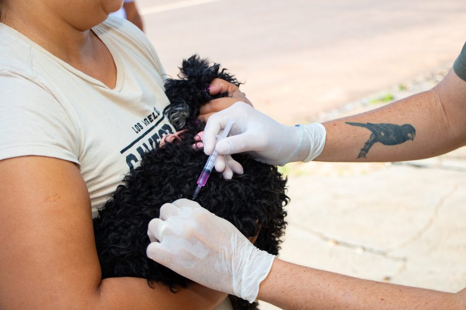 ENCOLEIRA CÃO – SMS promoveu plantão de atendimento no bairro Santa Júlia