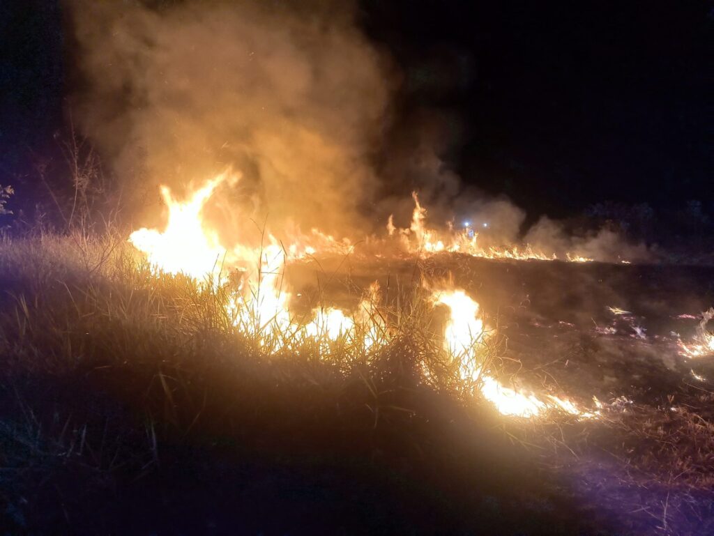 Com atuação integrada, Governo de MS trabalha para prevenir incêndios florestais no Pantanal Com atuação integrada, Governo de MS trabalha para prevenir incêndios florestais no Pantanal