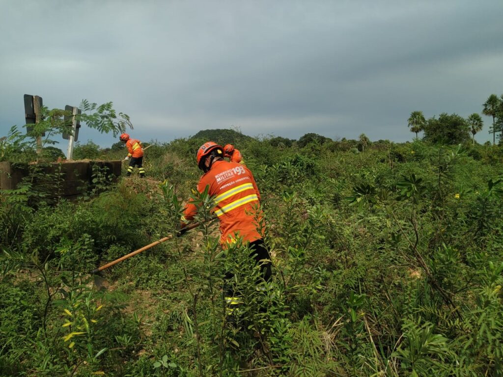 Com atuação integrada, Governo de MS trabalha para prevenir incêndios florestais no Pantanal Com atuação integrada, Governo de MS trabalha para prevenir incêndios florestais no Pantanal