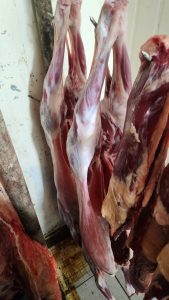 Operação Conjunta resulta na prisão de três suspeitos por comércio de carne clandestina em Paranaíba Operação Conjunta resulta na prisão de três suspeitos por comércio de carne clandestina em Paranaíba