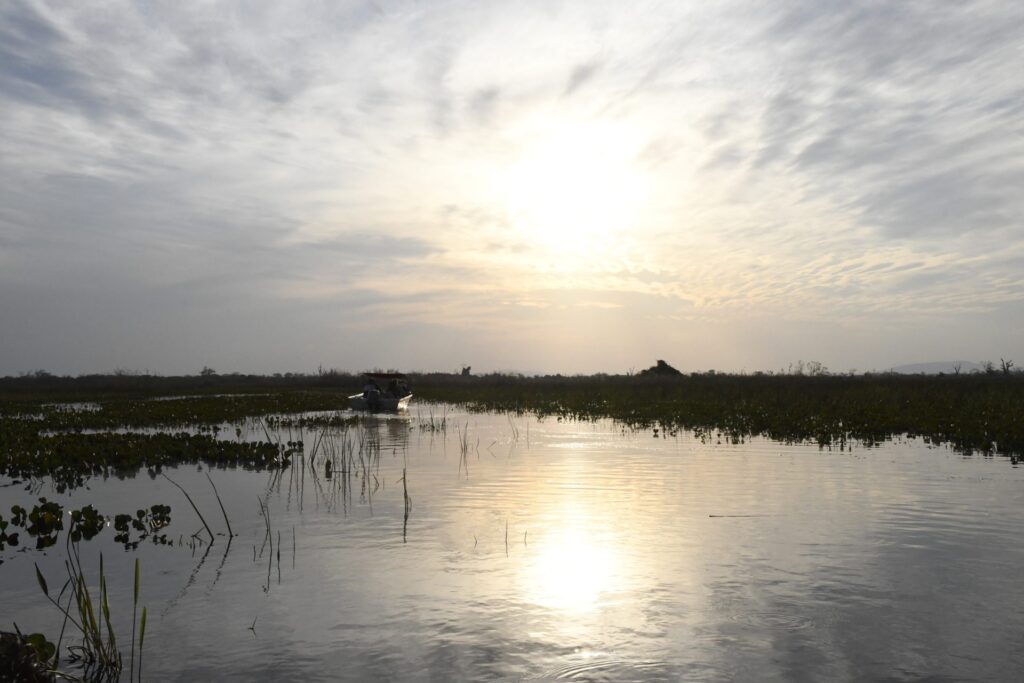 Com agravamento da seca na bacia do Pantanal, Agência Nacional de Águas alerta para situação