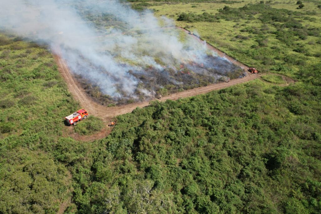 Bombeiros de MS atuam no combate a dois incêndios florestais, no Pantanal e em Naviraí