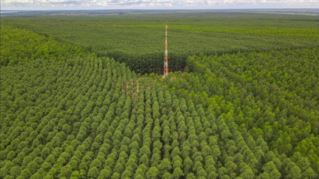 Eldorado Brasil Celulose encerra primeiro trimestre com EBITDA de R$ 734 milhões