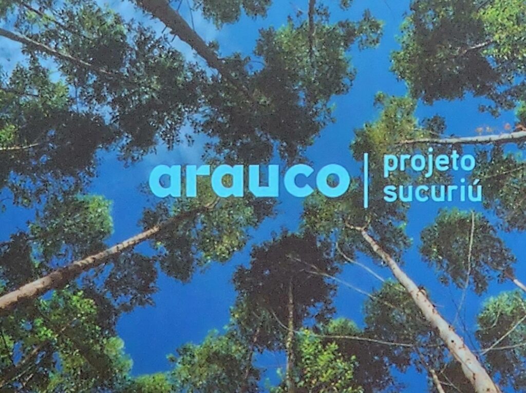 CELULOSE AQUECE NO BRASIL: Qual grupo fará primeiro o startup da planta na região de Três Lagoas  