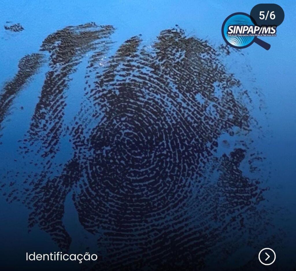 Peritos papiloscopistas de MS se colocam a disposição para missão de ajuda ao RS