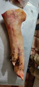 Operação Conjunta resulta na prisão de três suspeitos por comércio de carne clandestina em Paranaíba Operação Conjunta resulta na prisão de três suspeitos por comércio de carne clandestina em Paranaíba