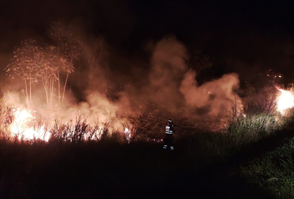 Bombeiros de MS atuam no combate a dois incêndios florestais, no Pantanal e em Naviraí