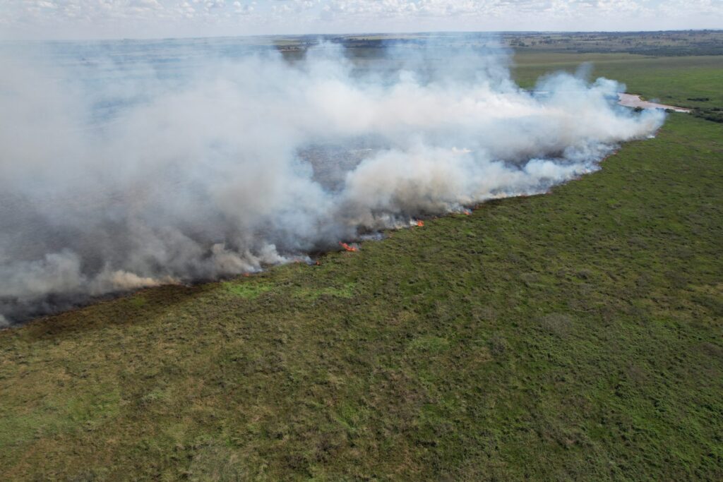 Combate a incêndios florestais, monitoramento e ações preventivas marcam atuação dos bombeiros em biomas de MS