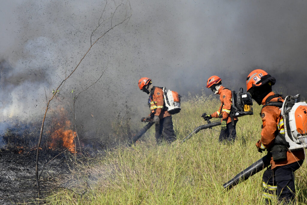Governo de MS apresenta plataforma que traz mais transparência ao trabalho contra incêndios no Pantanal Governo de MS apresenta plataforma que traz mais transparência ao trabalho contra incêndios no Pantanal