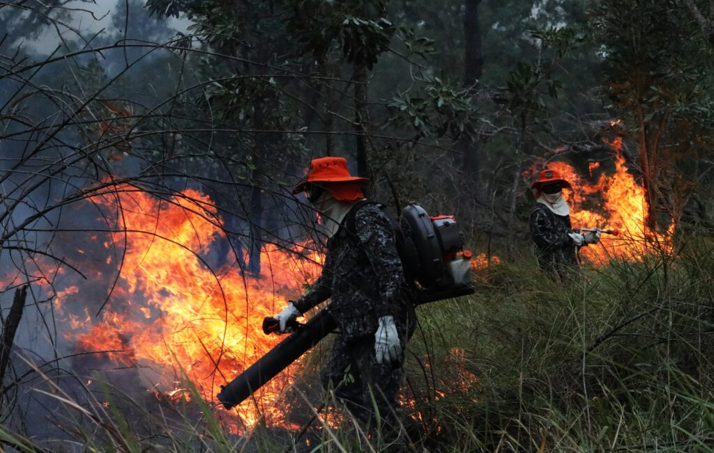 Sob coordenação dos bombeiros de MS, Força Nacional já atua no combate ao fogo no Pantanal Sob coordenação dos bombeiros de MS, Força Nacional já atua no combate ao fogo no Pantanal