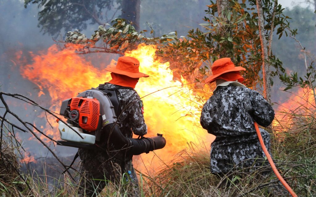 Sob coordenação dos bombeiros de MS, Força Nacional já atua no combate ao fogo no Pantanal Sob coordenação dos bombeiros de MS, Força Nacional já atua no combate ao fogo no Pantanal