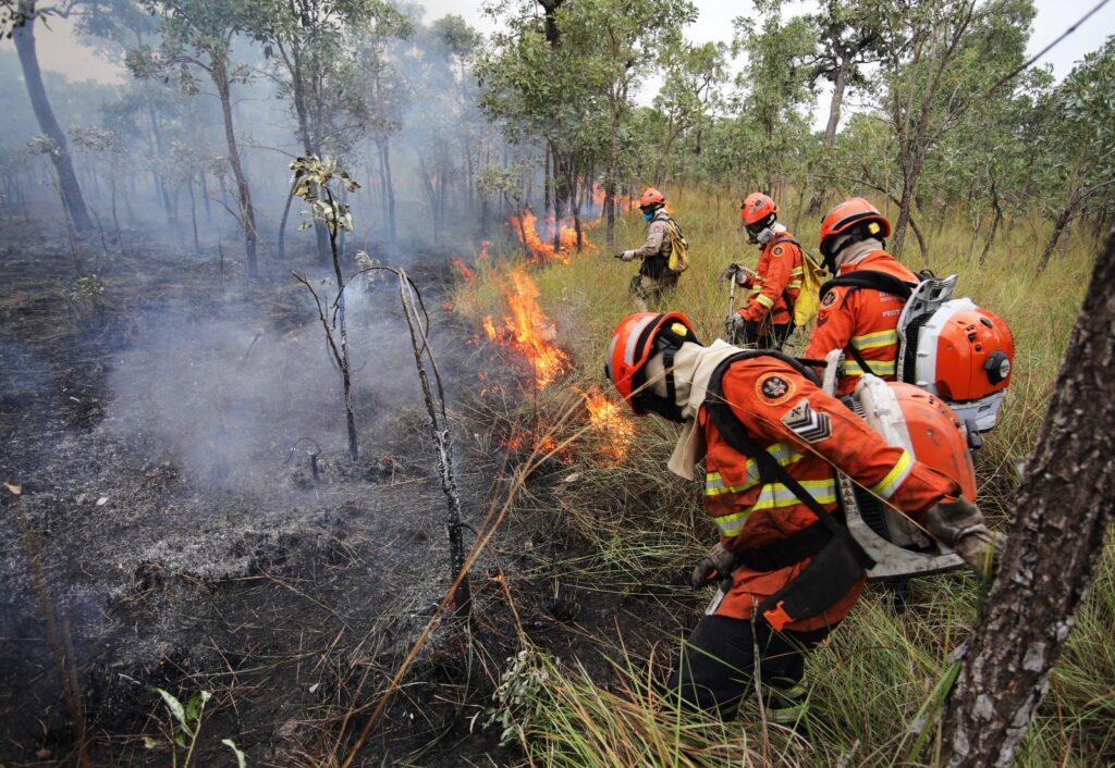 Sob coordenação dos bombeiros de MS, Força Nacional já atua no combate ao fogo no Pantanal Sob coordenação dos bombeiros de MS, Força Nacional já atua no combate ao fogo no Pantanal