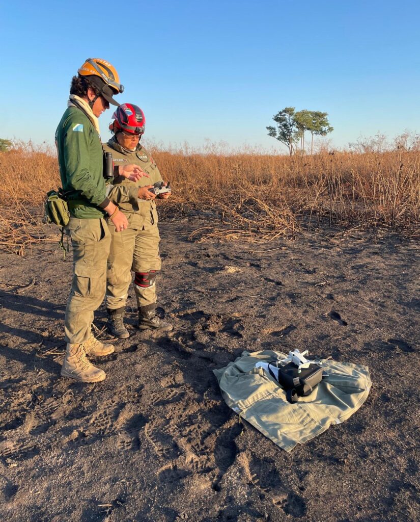 De ninho com tuiuiús até onça: socorristas monitoram animais por conta de incêndios no Pantanal De ninho com tuiuiús até onça: socorristas monitoram animais por conta de incêndios no Pantanal