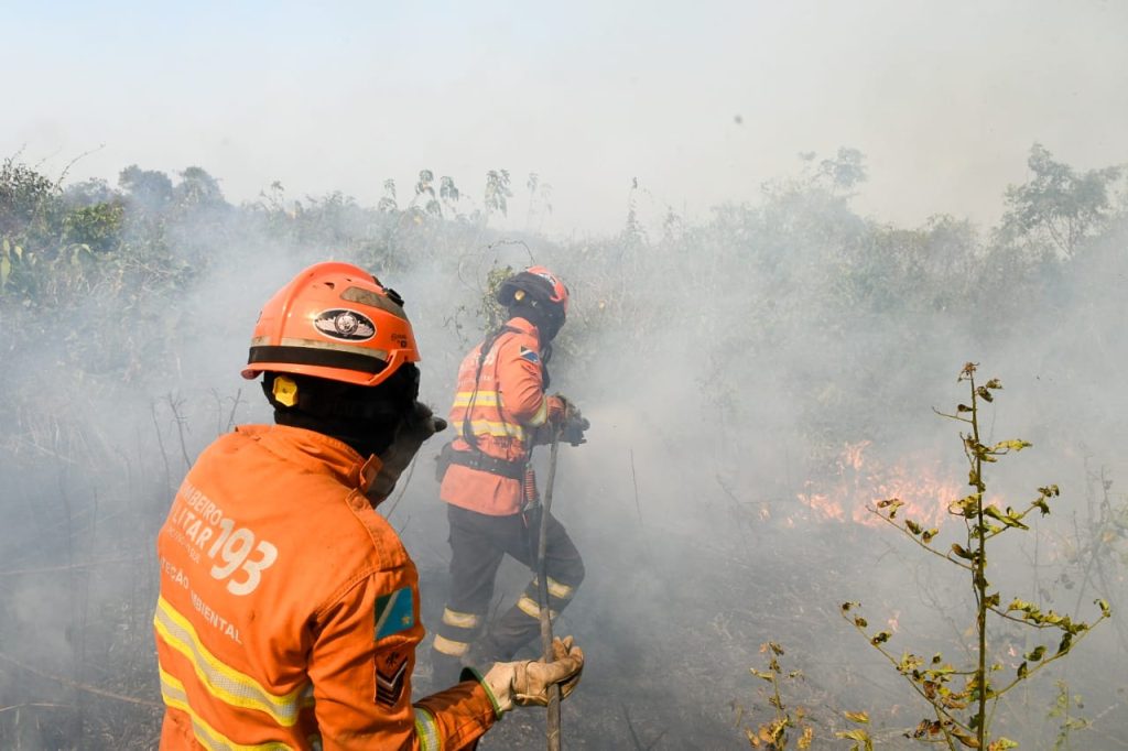 Luta dos Bombeiros contra o fogo no Pantanal é contínua e emociona quem é salvo das chamas