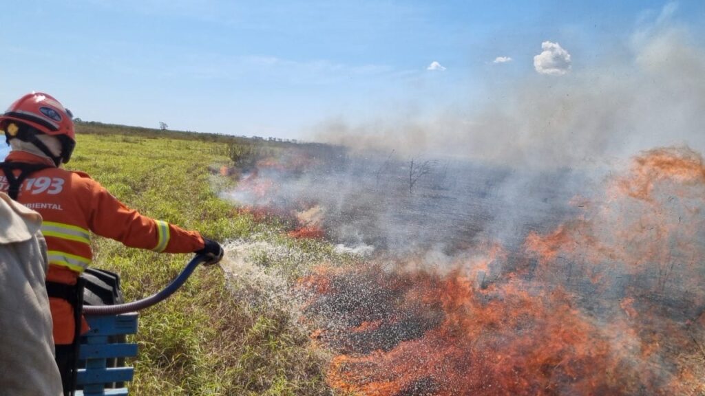 Bombeiros de MS atuam para preservar pontes na Estrada Parque, vegetação e moradias de ribeirinhos no Pantanal Bombeiros de MS atuam para preservar pontes na Estrada Parque, vegetação e moradias de ribeirinhos no Pantanal