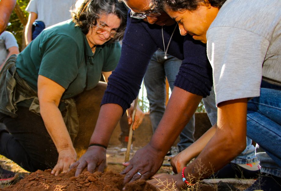 SEMANA DO MEIO AMBIENTE: Alunos da APAE plantam mudas de árvores através do Projeto TL Mais Verde