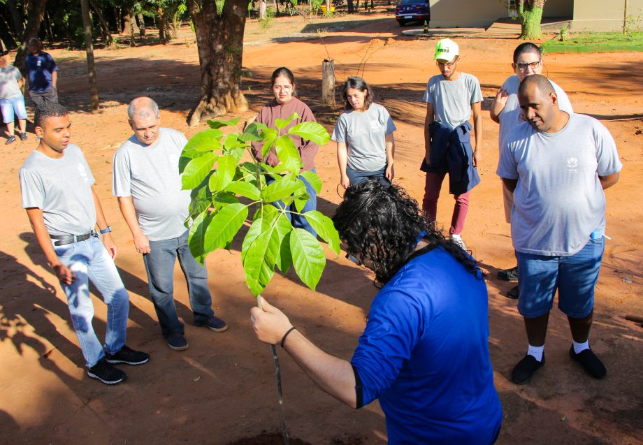 SEMANA DO MEIO AMBIENTE: Alunos da APAE plantam mudas de árvores através do Projeto TL Mais Verde