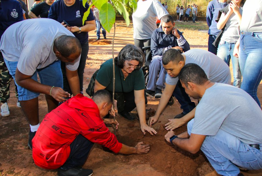 SEMANA DO MEIO AMBIENTE: Alunos da APAE plantam mudas de árvores através do Projeto TL Mais Verde