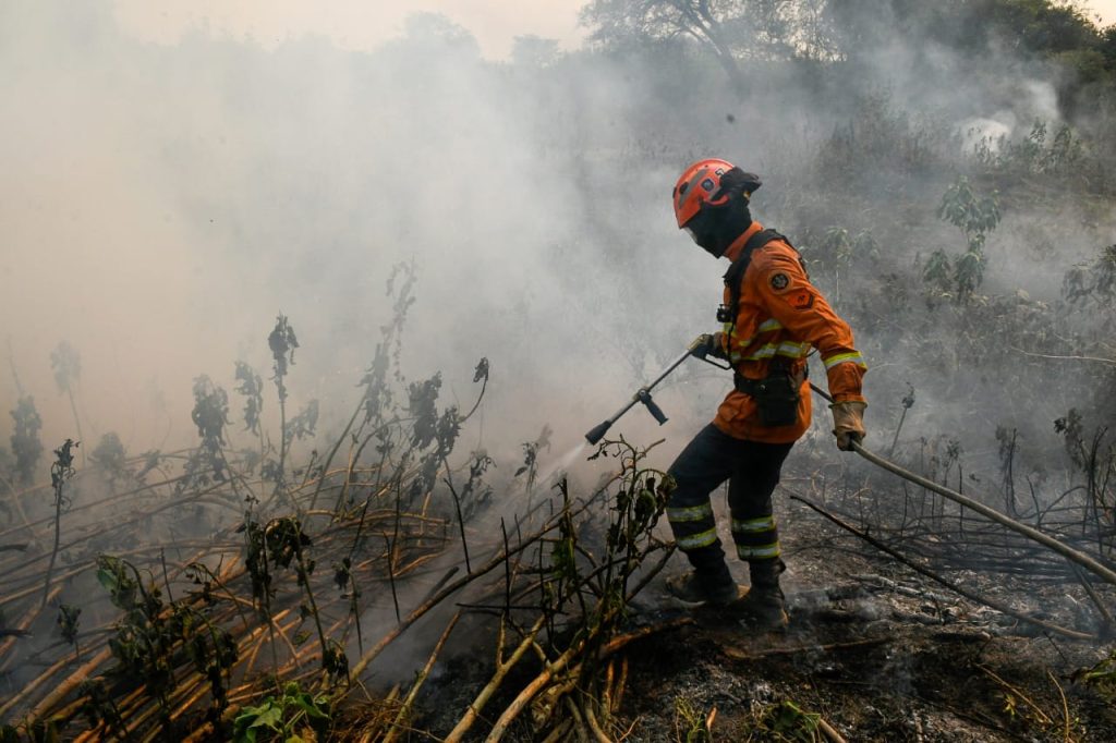 Luta dos Bombeiros contra o fogo no Pantanal é contínua e emociona quem é salvo das chamas
