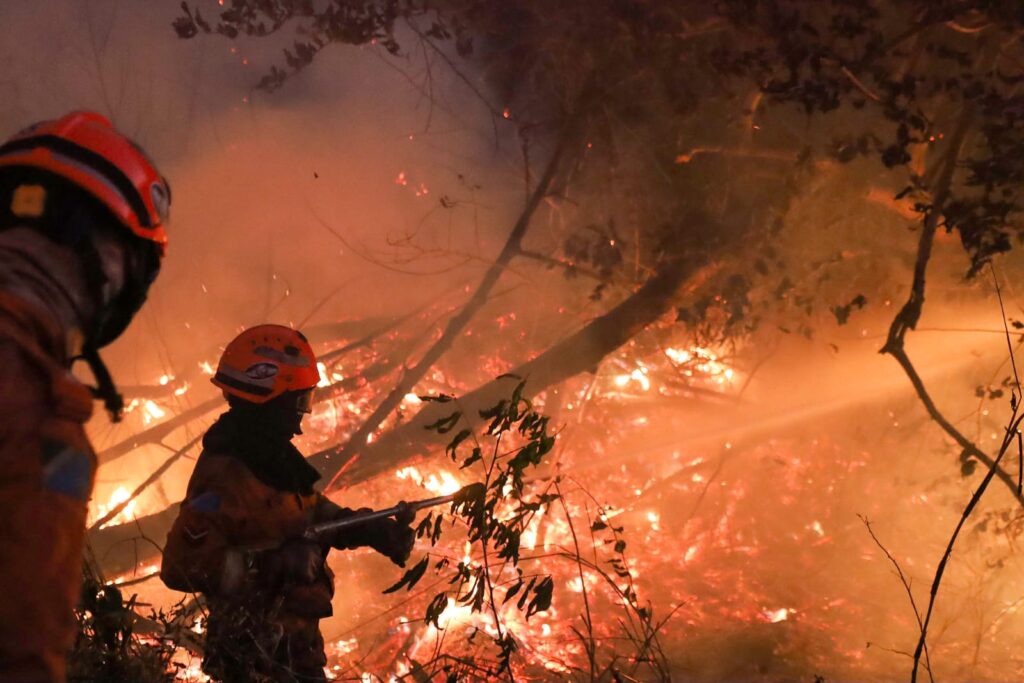 Combate direto e noturno segue como estratégia para controlar focos em seis pontos do Pantanal Combate direto e noturno segue como estratégia para controlar focos em seis pontos do Pantanal