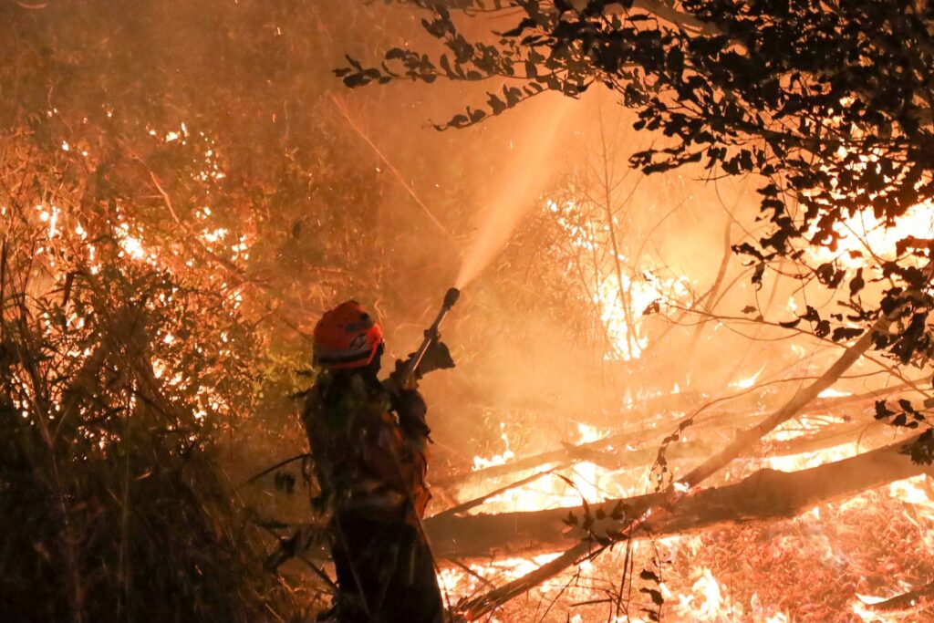 Combate direto e noturno segue como estratégia para controlar focos em seis pontos do Pantanal Combate direto e noturno segue como estratégia para controlar focos em seis pontos do Pantanal