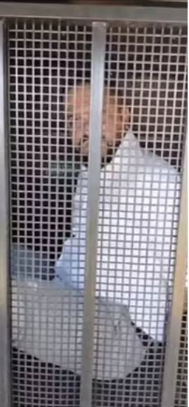 Padre é preso por dirigir bêbado e tentar subornar policiais em Goiânia