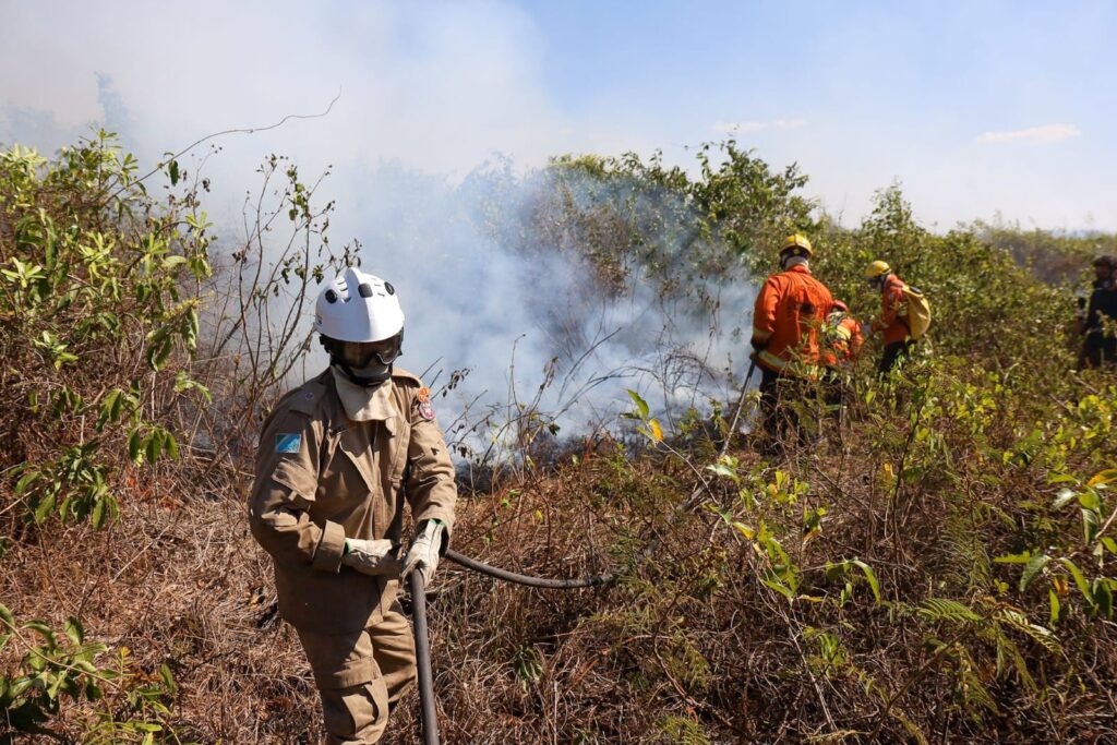 Esforço coletivo: Governo de MS e Força Nacional trabalham em conjunto para combater focos no Pantanal Esforço coletivo: Governo de MS e Força Nacional trabalham em conjunto para combater focos no Pantanal