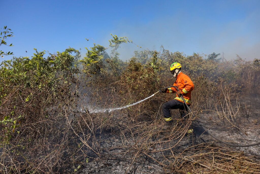 Com seis focos ativos, incêndios no Pantanal são intensificados devido a condições climáticas extremas Com seis focos ativos, incêndios no Pantanal são intensificados devido a condições climáticas extremas