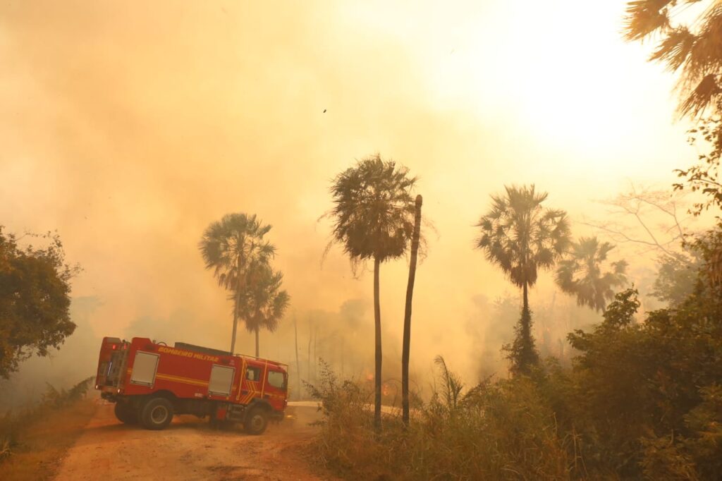 Operação Pantanal: bombeiros de MS lutam para conter grandes chamas na região do Nabileque Operação Pantanal: bombeiros de MS lutam para conter grandes chamas na região do Nabileque