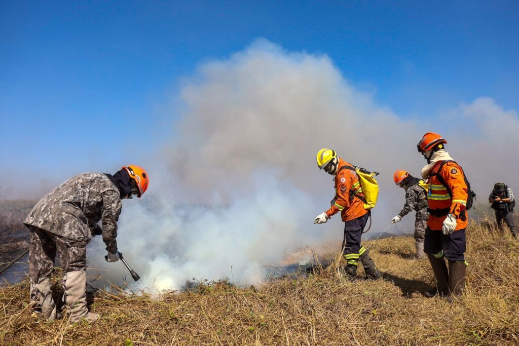 Esforço coletivo: Governo de MS e Força Nacional trabalham em conjunto para combater focos no Pantanal Esforço coletivo: Governo de MS e Força Nacional trabalham em conjunto para combater focos no Pantanal