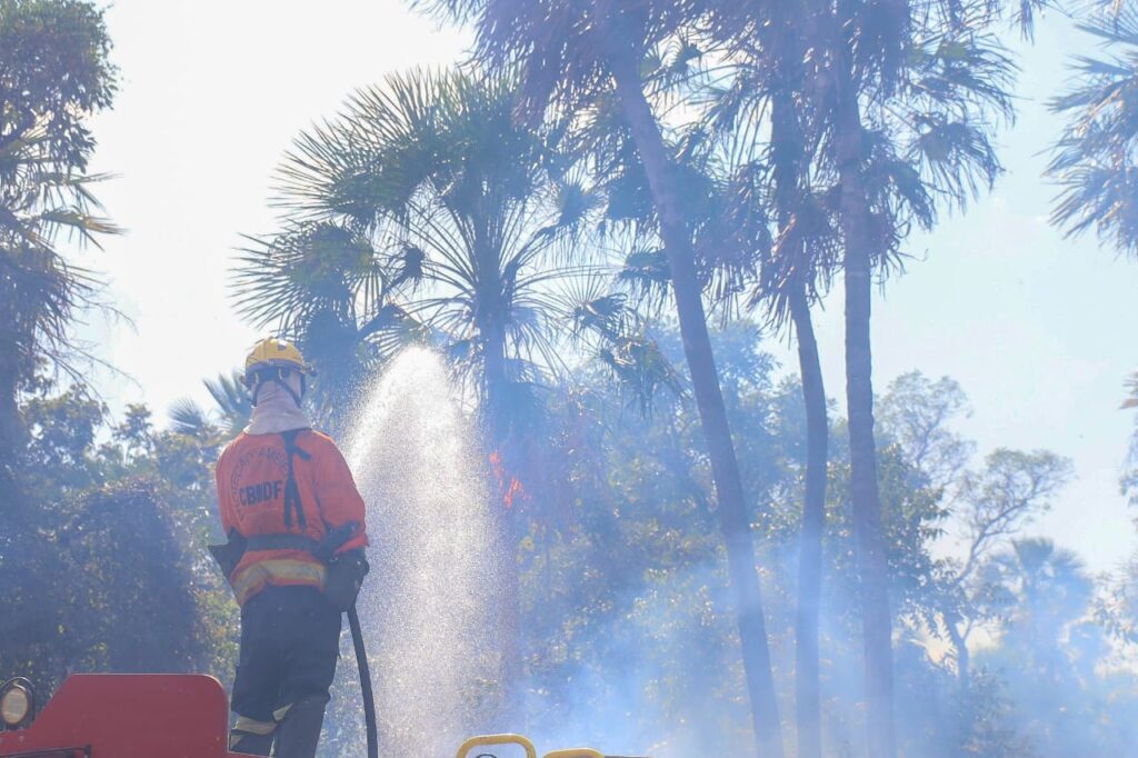 Com seis focos ativos, incêndios no Pantanal são intensificados devido a condições climáticas extremas Com seis focos ativos, incêndios no Pantanal são intensificados devido a condições climáticas extremas